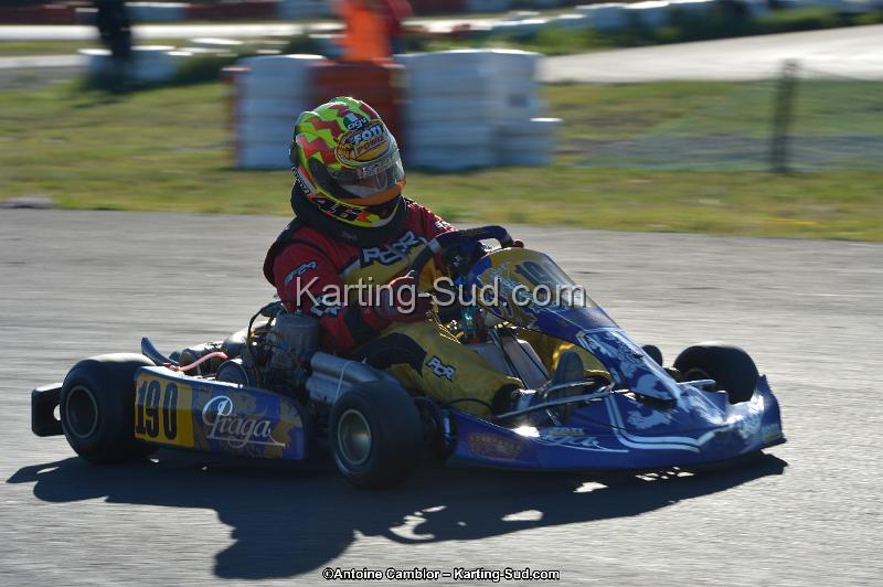 DSC_0897.jpg