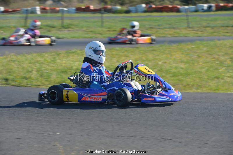 DSC_0952.jpg