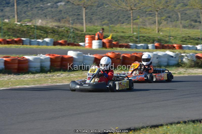 DSC_0981.jpg