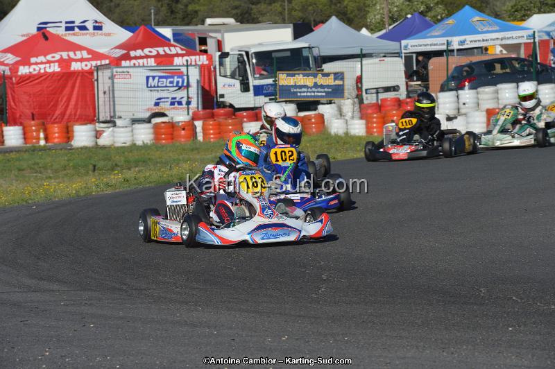 DSC_1003.jpg
