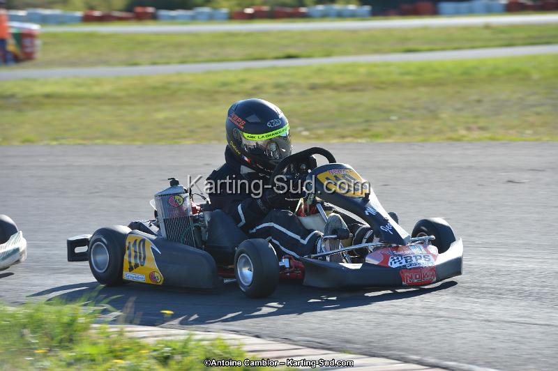 DSC_1010.jpg