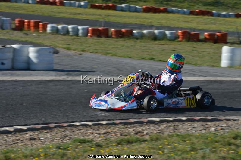 DSC_1013.jpg