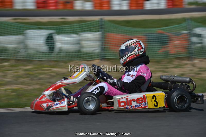 DSC_2019.jpg