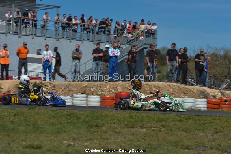 DSC_2412.jpg
