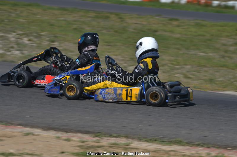 DSC_8719.jpg