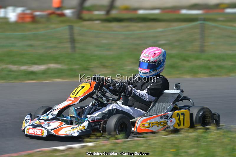 DSC_8811.jpg