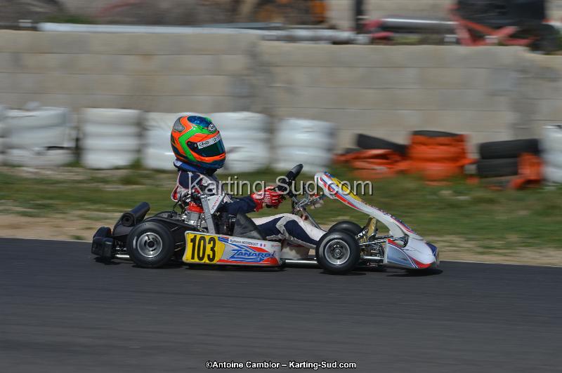 DSC_8988.jpg