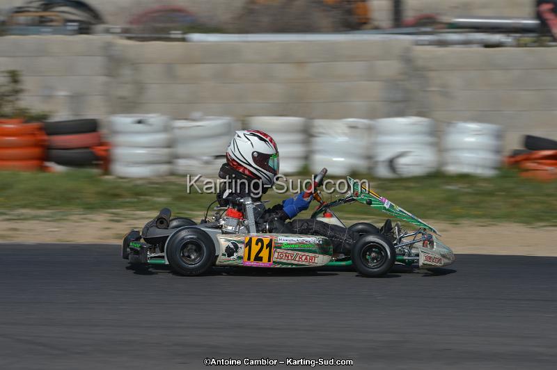 DSC_8994.jpg