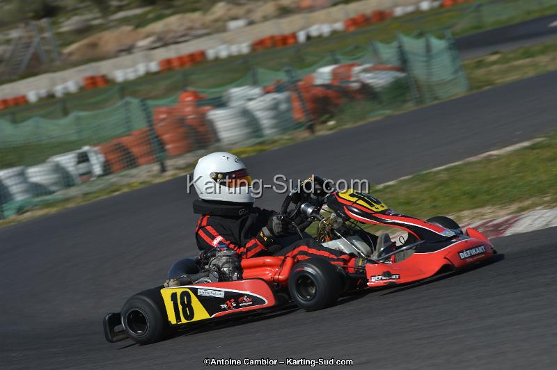 DSC_9203.jpg
