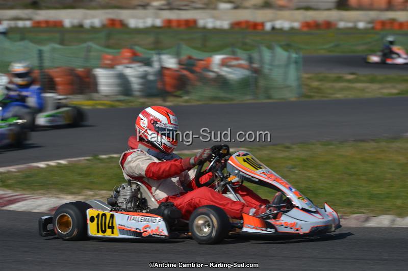 DSC_9377.jpg