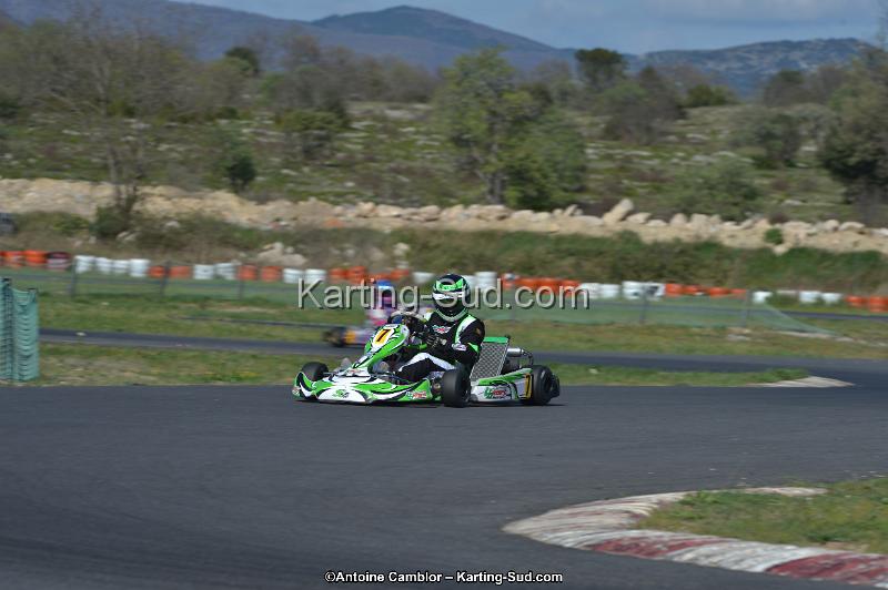 DSC_9441.jpg