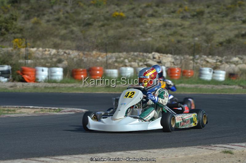 DSC_9531.jpg