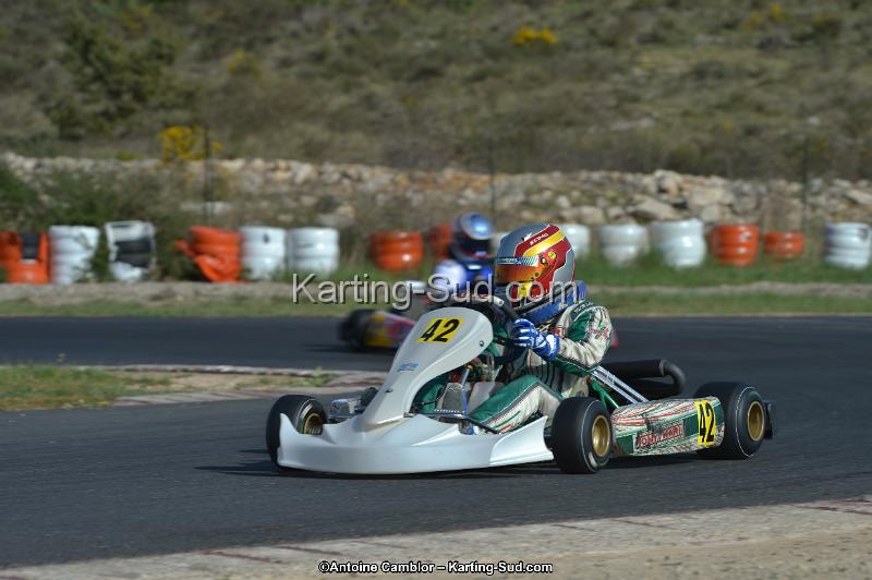 DSC_9548.jpg