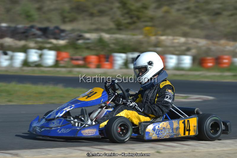 DSC_9553.jpg