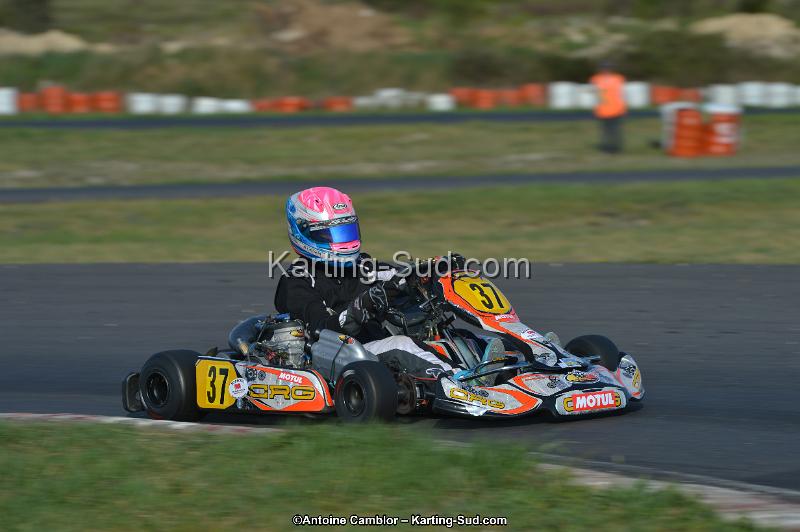 DSC_9777.jpg