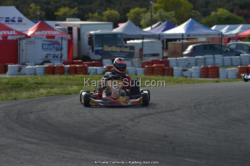 DSC_9781.jpg