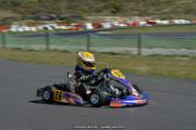 DSC_2931