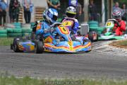 IMG_6245
