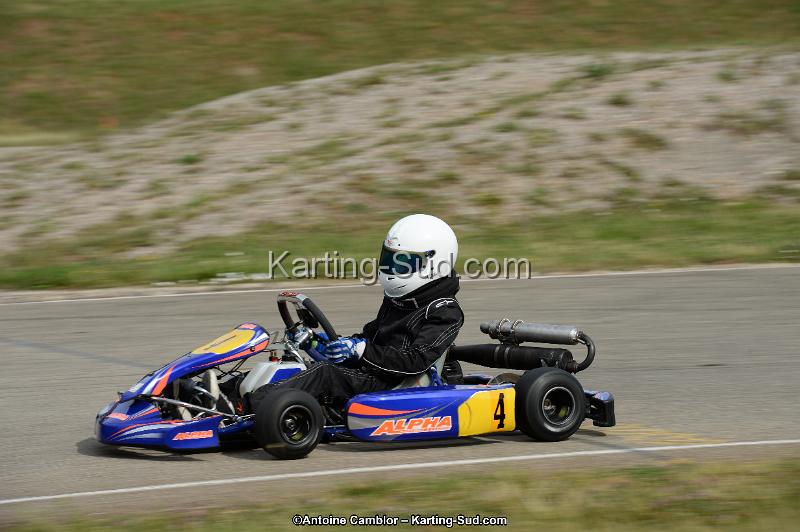 DSC_0031.jpg