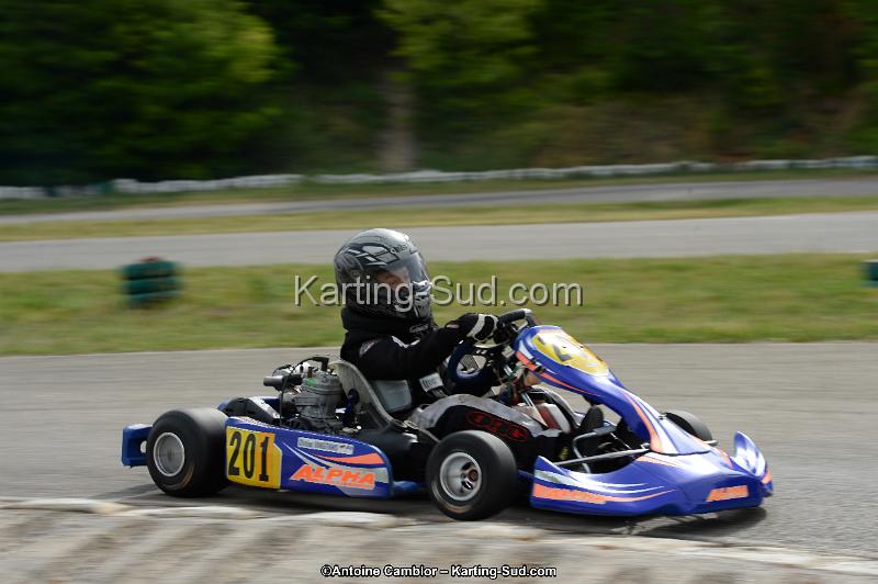 DSC_0076.jpg