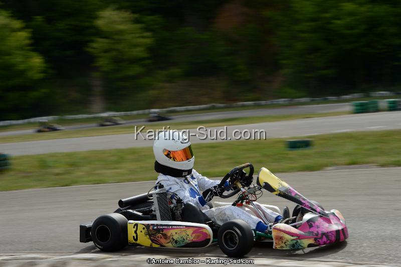 DSC_0079.jpg