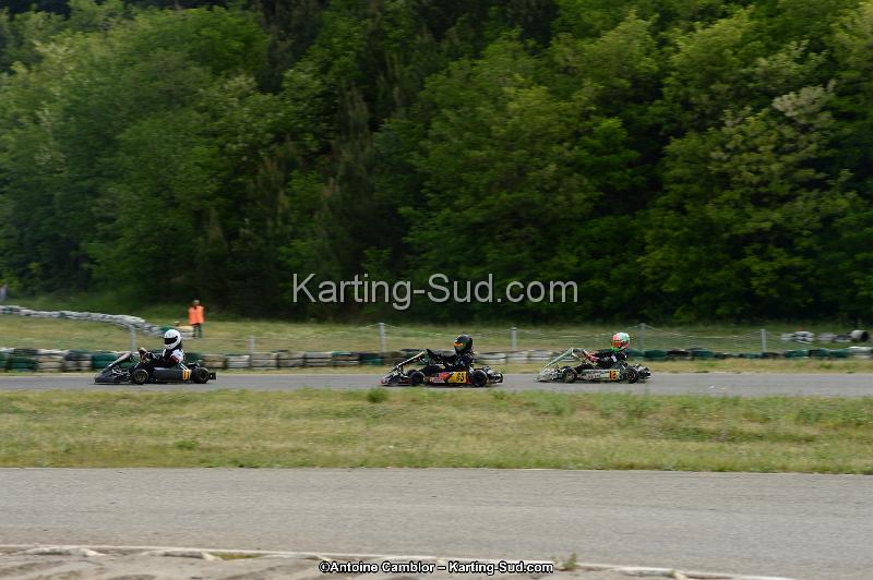 DSC_0083.jpg