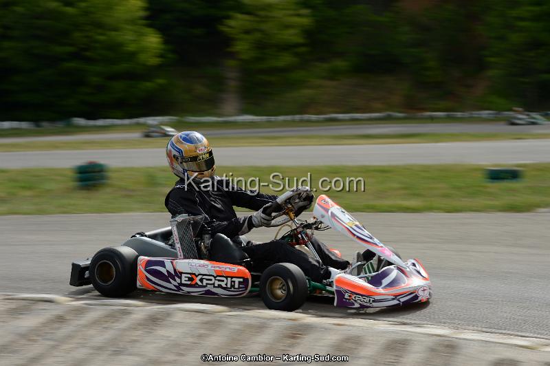 DSC_0090.jpg