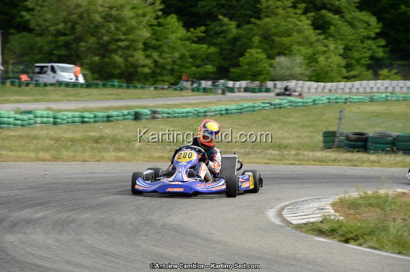 DSC_0101.jpg