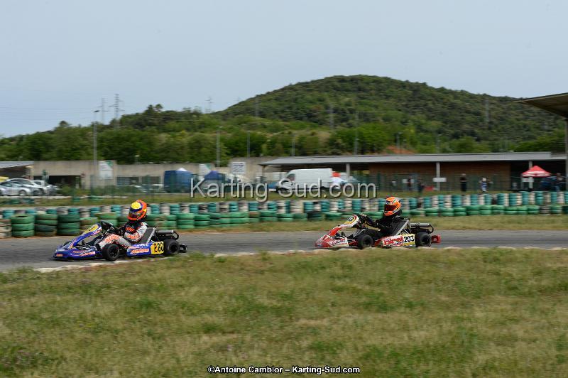 DSC_0115.jpg