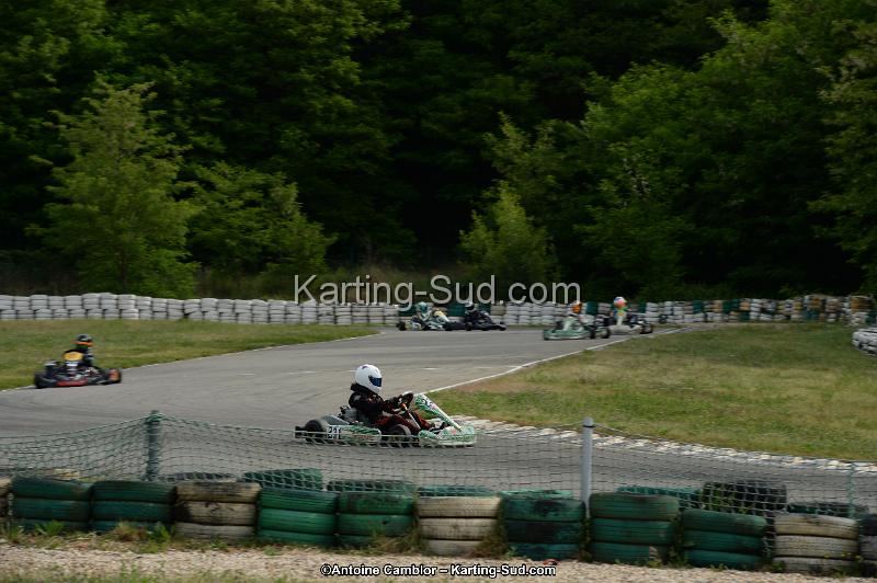 DSC_0126.jpg