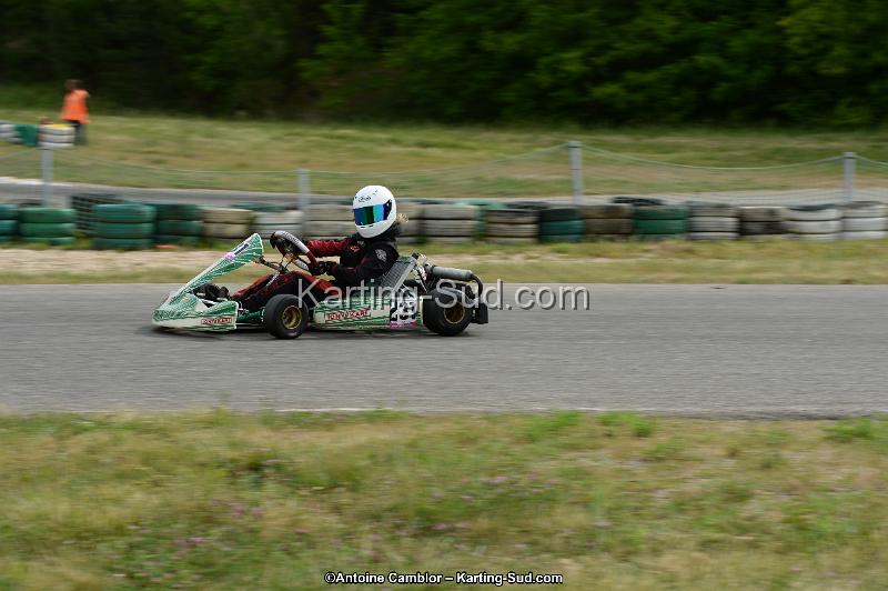 DSC_0153.jpg