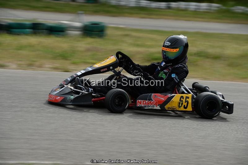 DSC_0164.jpg