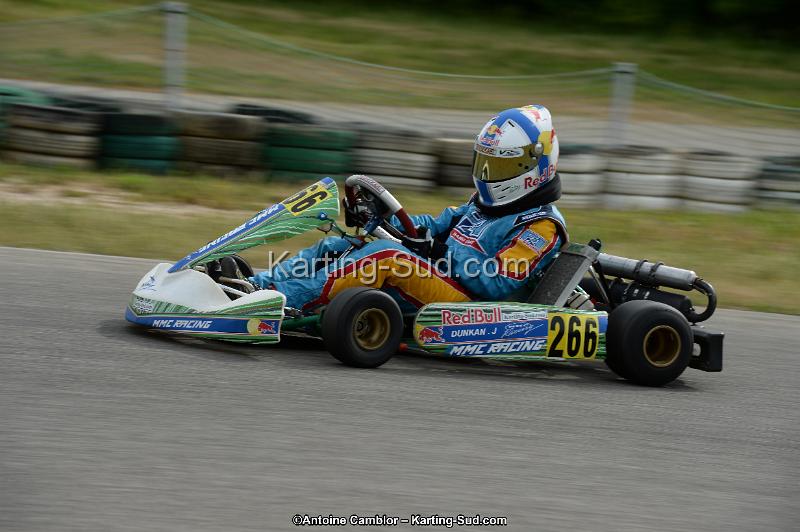 DSC_0166.jpg