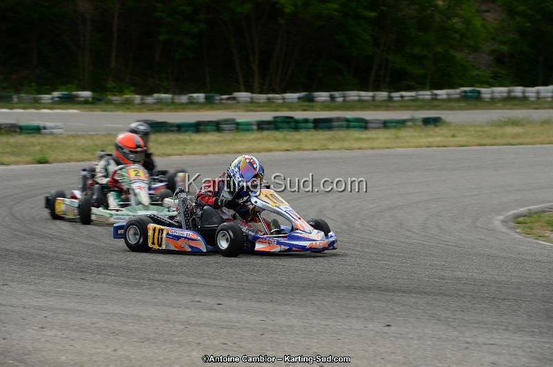 DSC_0178.jpg