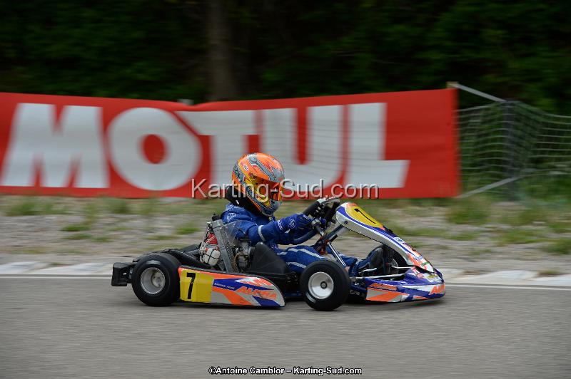 DSC_0210.jpg