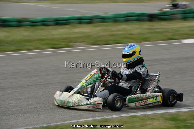 DSC_0228.jpg