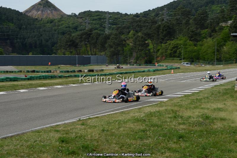 DSC_0262.jpg