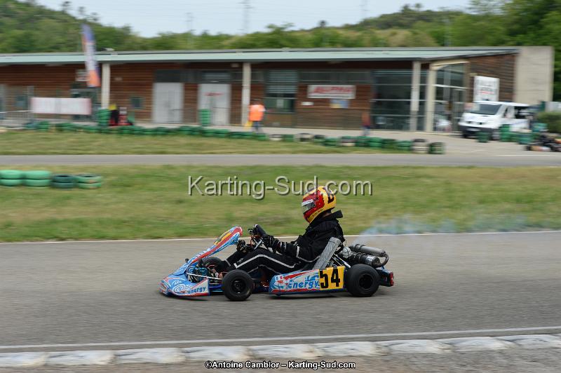 DSC_0277.jpg