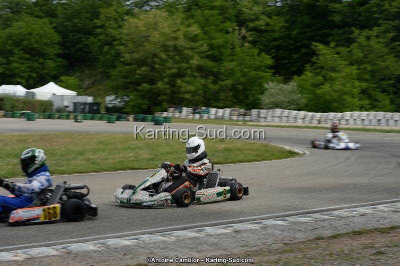 DSC_0283.jpg