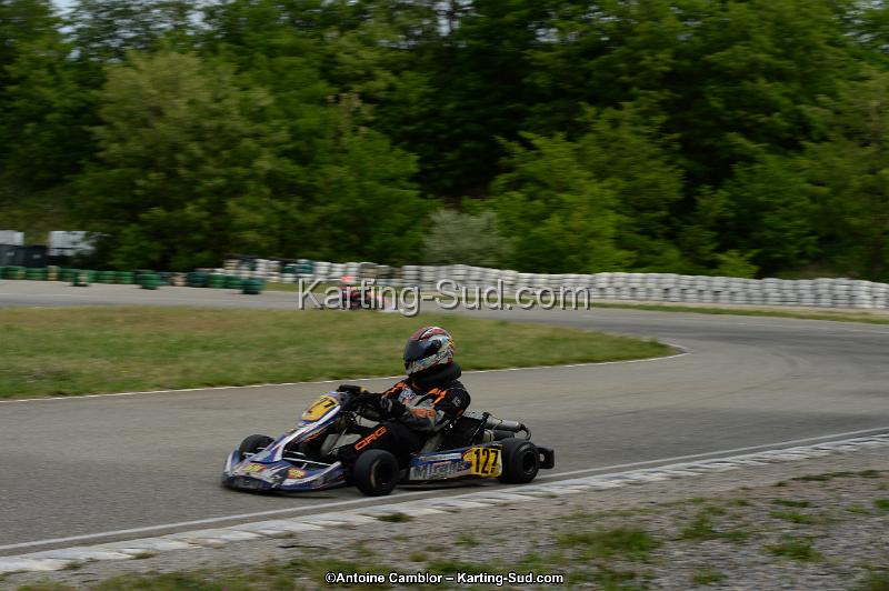 DSC_0293.jpg