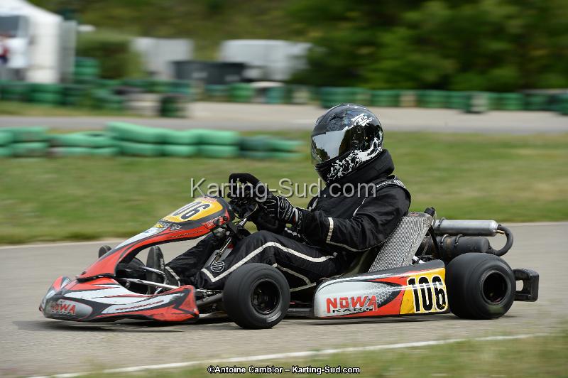 DSC_0313.jpg