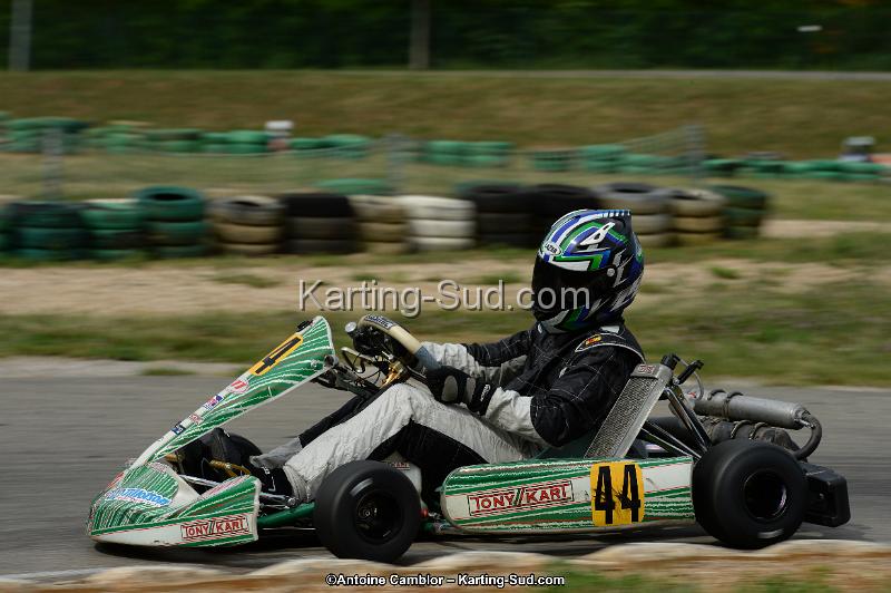 DSC_0335.jpg