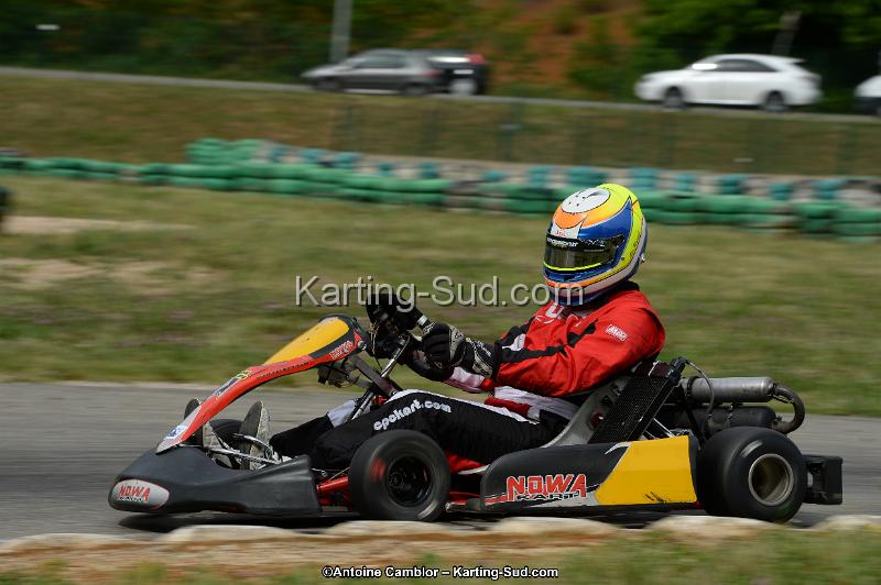DSC_0338.jpg