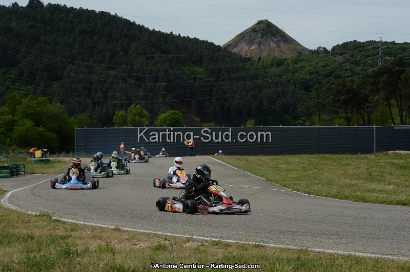 DSC_0341.jpg