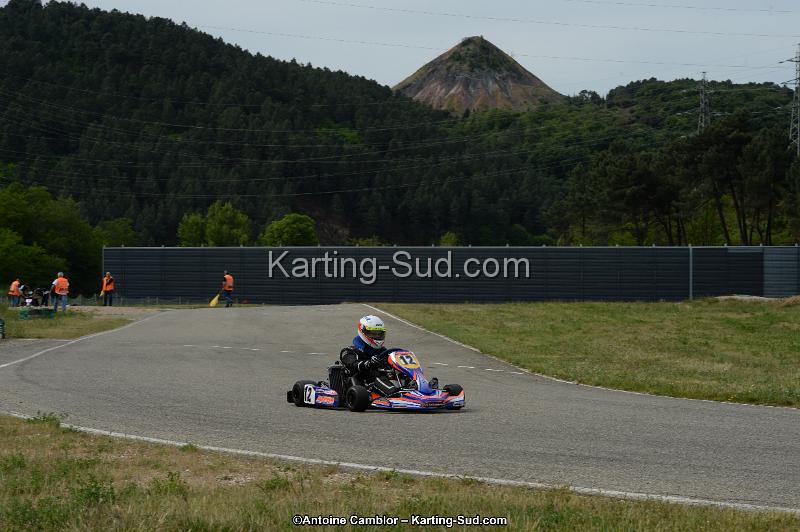 DSC_0344.jpg