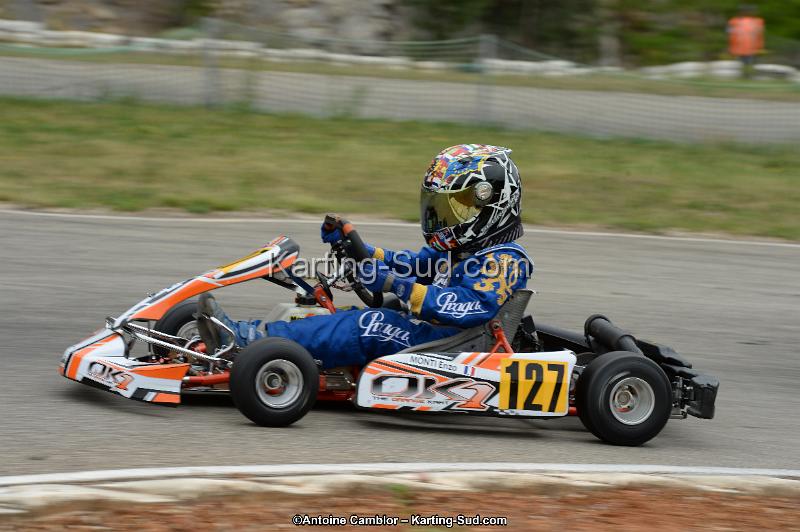 DSC_0684.jpg