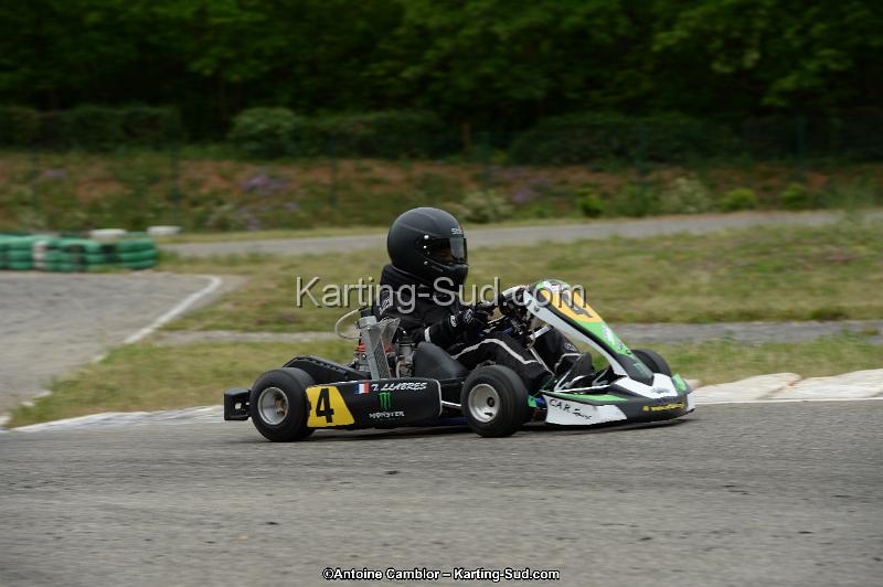 DSC_0769.jpg