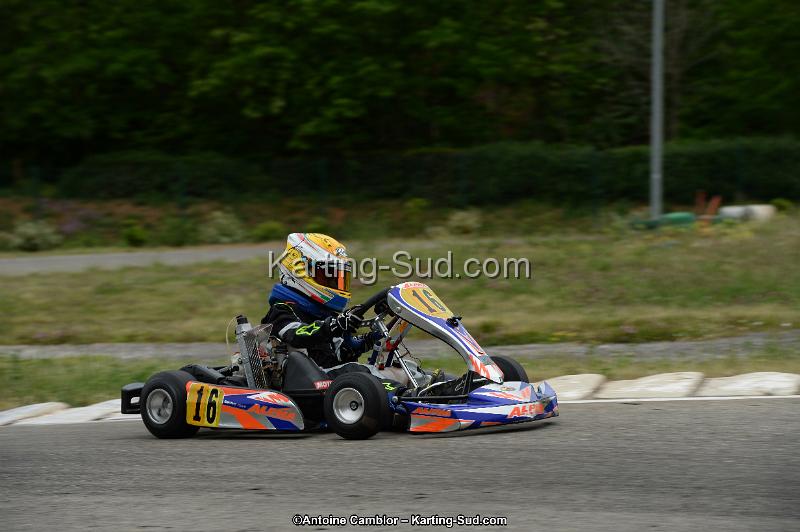 DSC_0771.jpg