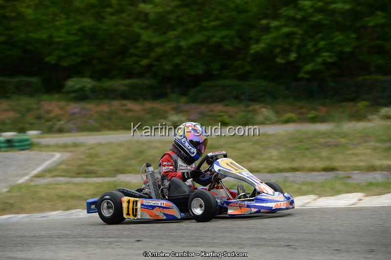 DSC_0772.jpg