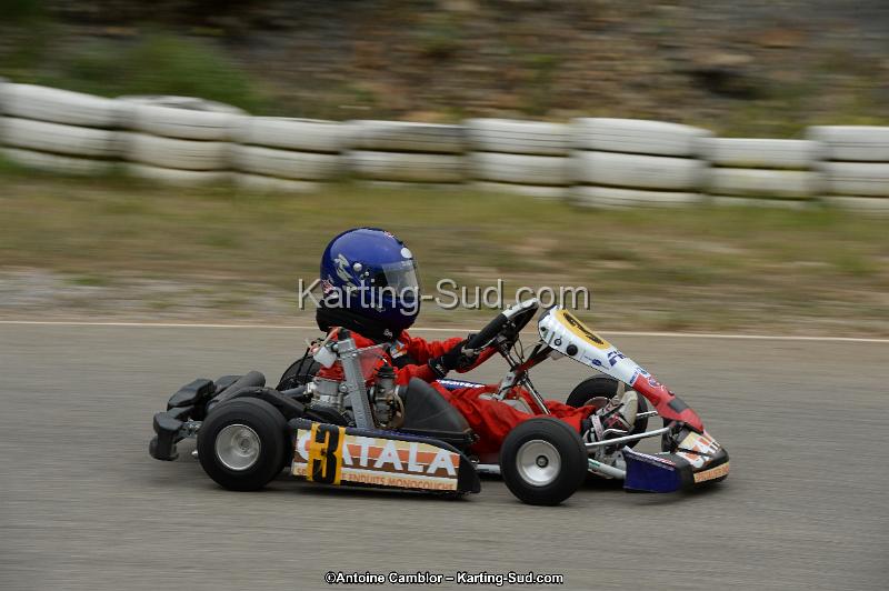 DSC_0784.jpg